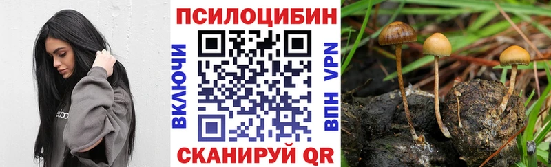 Псилоцибиновые грибы MAGIC MUSHROOMS  Каневская 